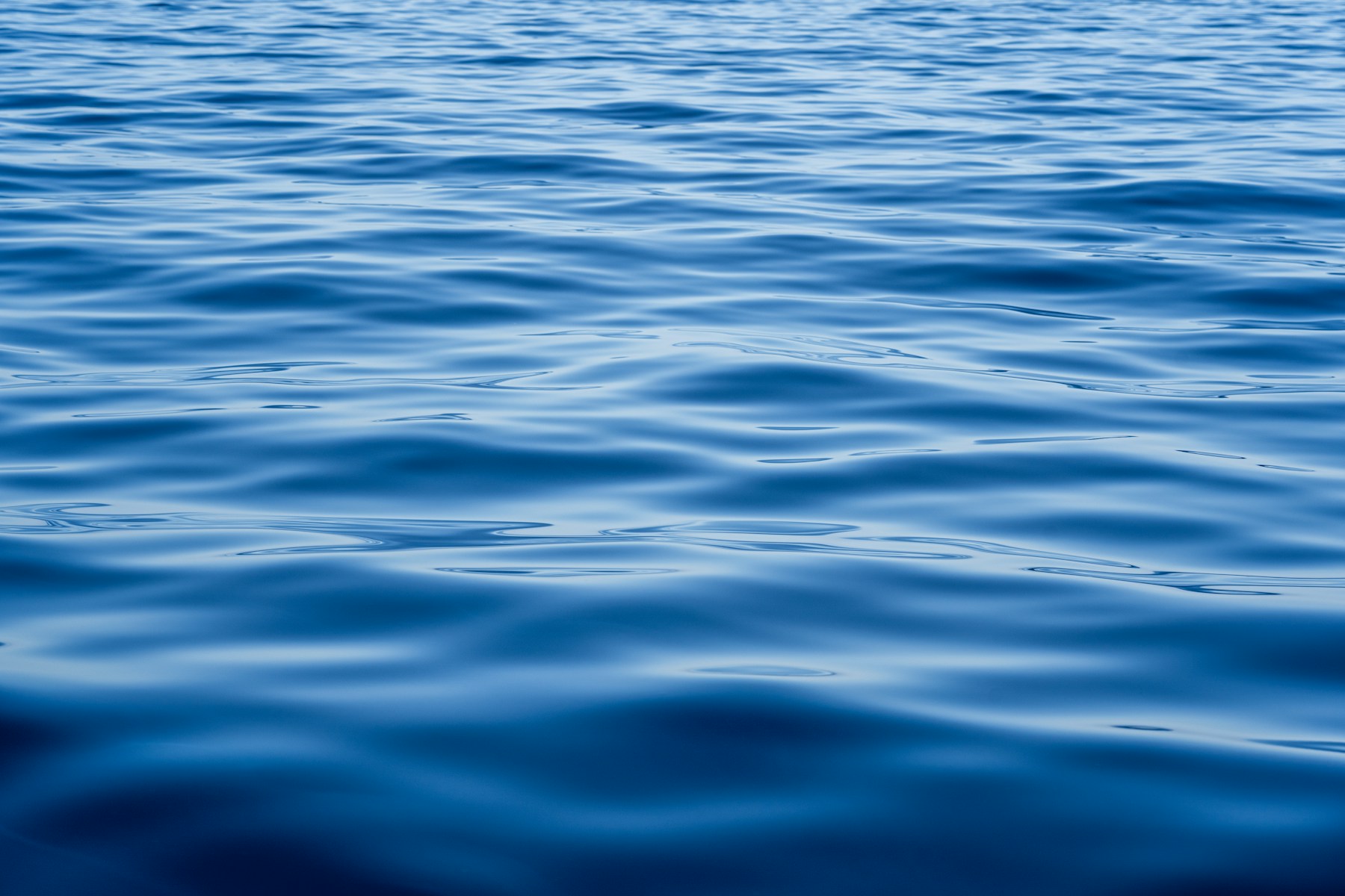 Sunlight moving gently across clear water