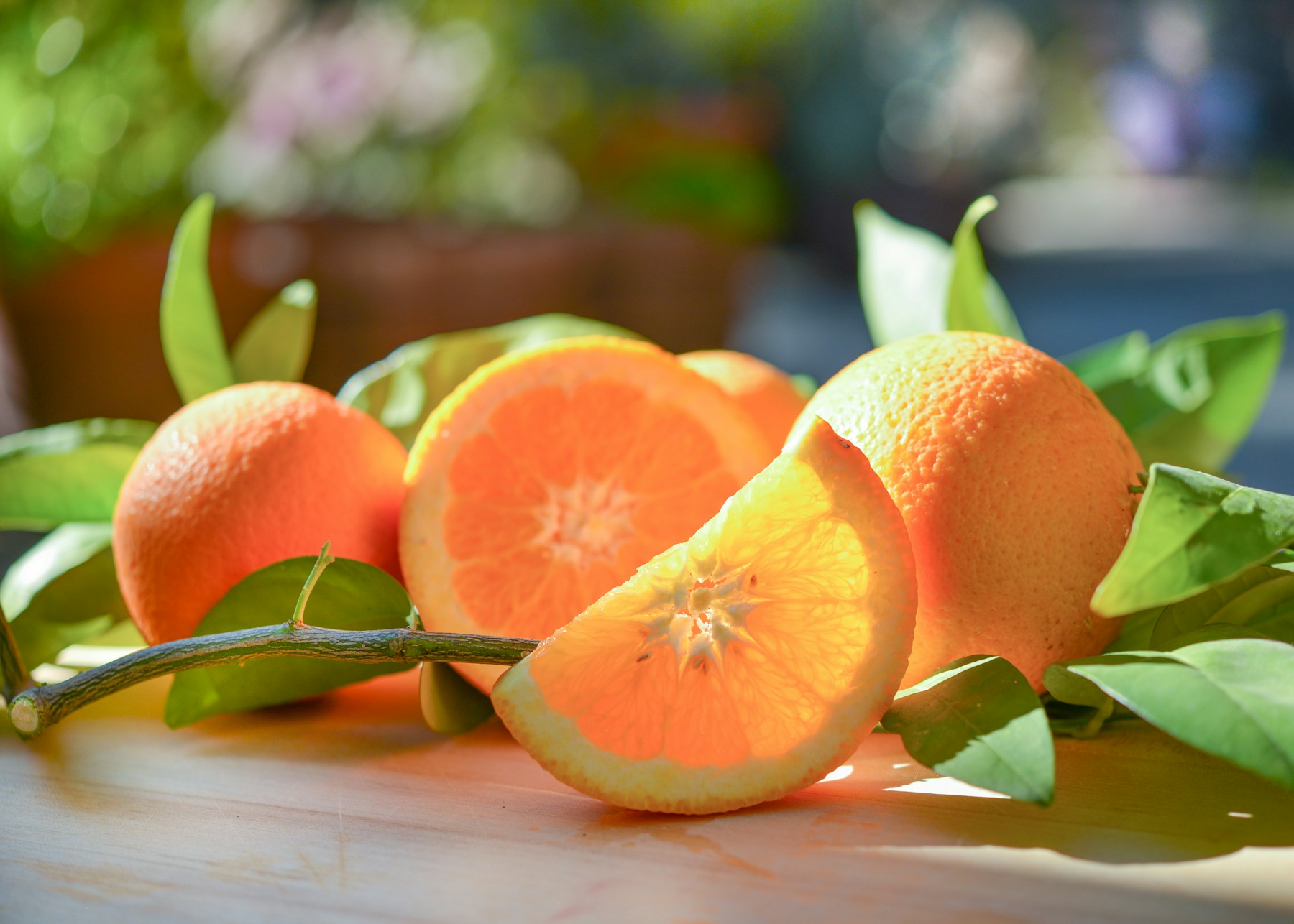 A gathering of oranges, each with its own place
